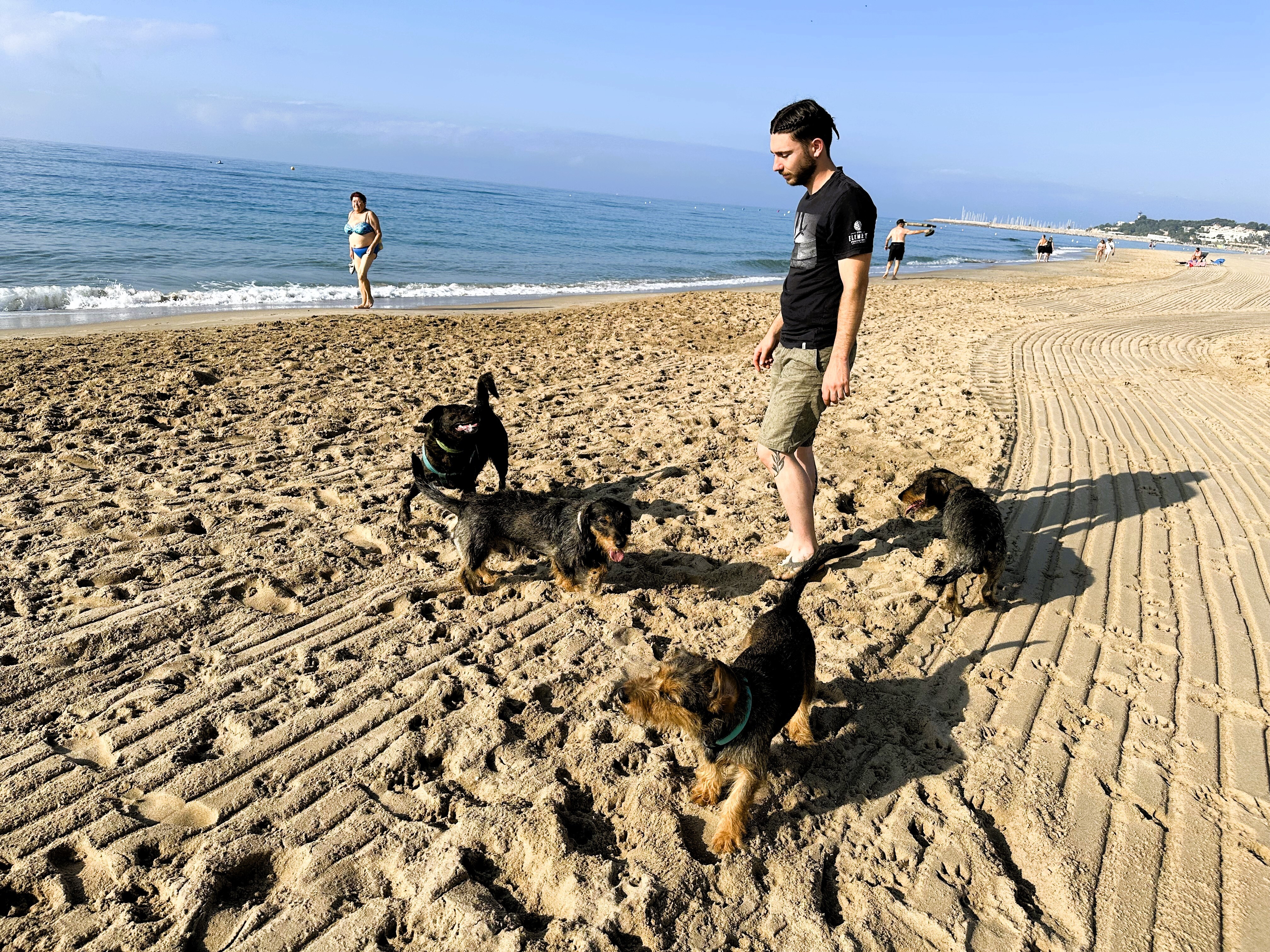 Platja per a gossos