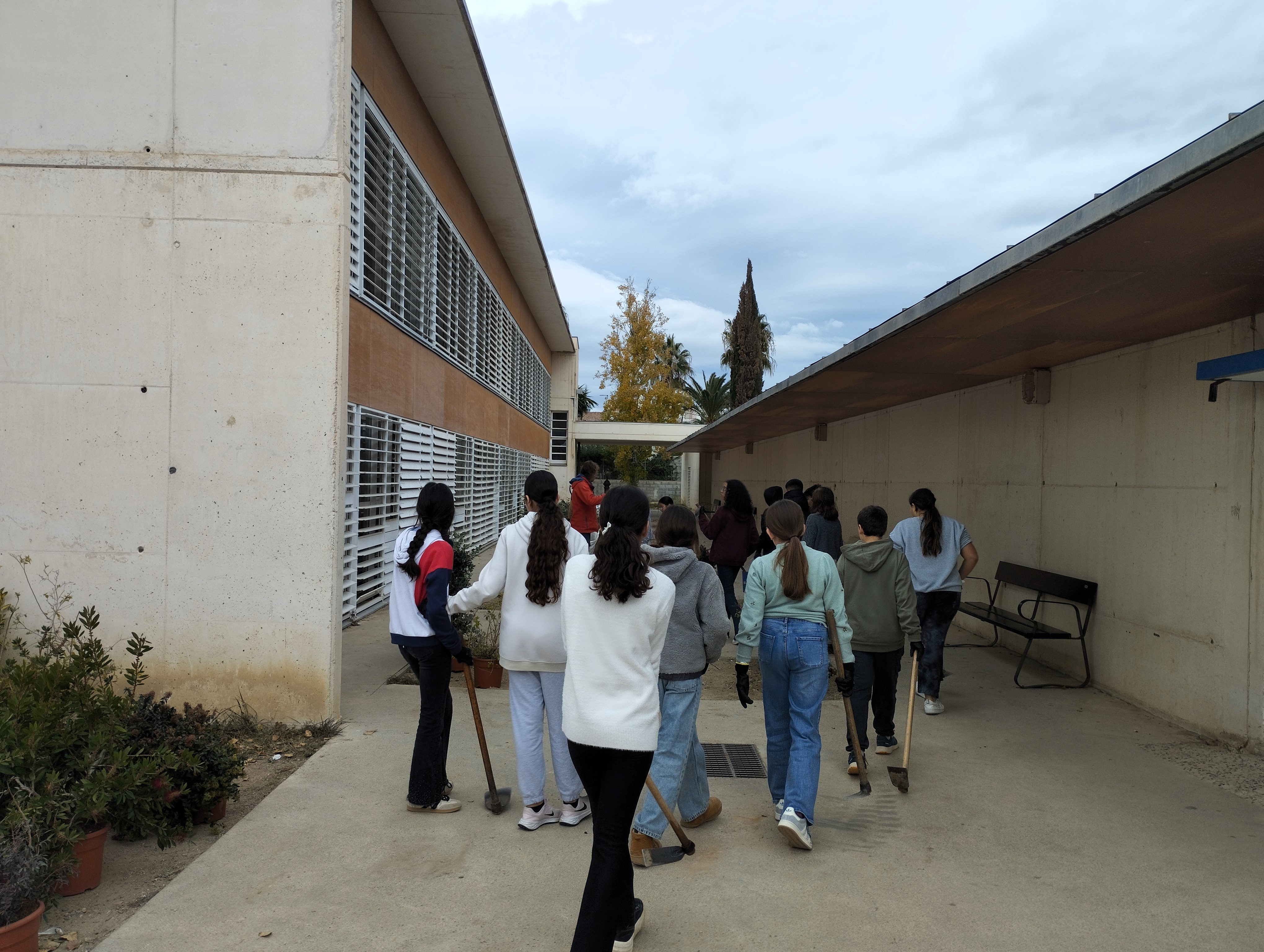 Festa de l'arbre 2025