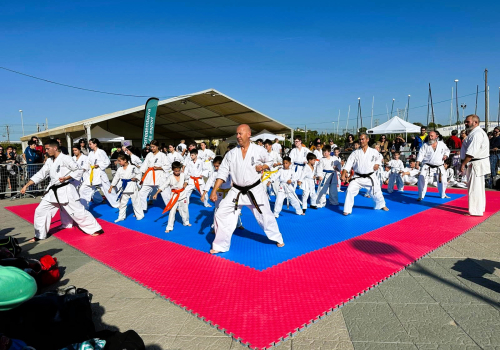 Foto d'una exhibició de karate de la Festa de l'Esport