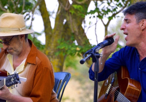 Cicle concerts Sala del Mar