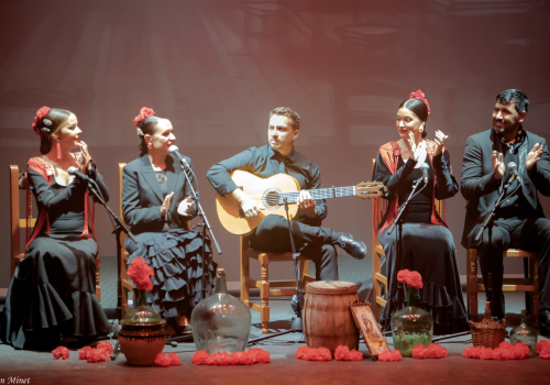«Raíces» de tablao flamenco