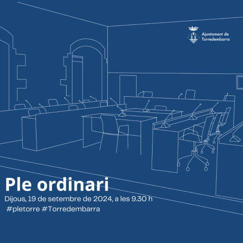 Imatge del ple ordinari de 19 de setembre de 2024