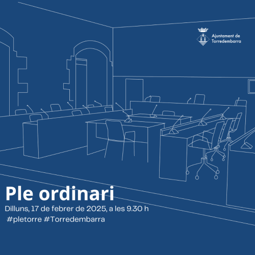 Ple ordinari febrer