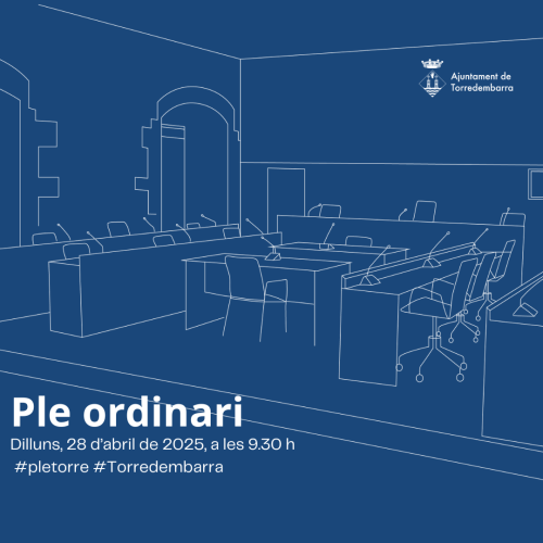 Ple ordinari abril