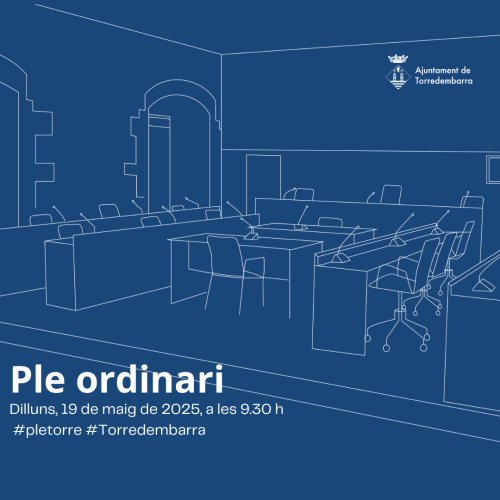 Imatge del ple ordinari del 19 de maig de 2025