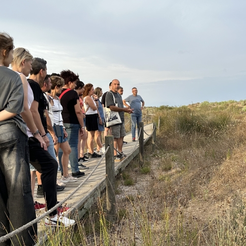 Visites guiades Sender Blau