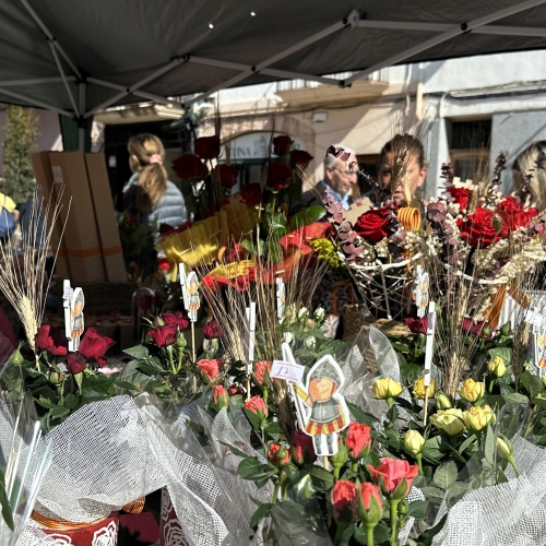 Sant Jordi 2025