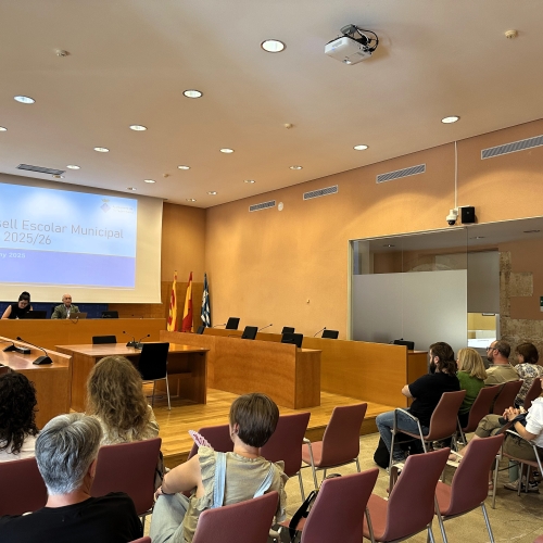 Imatge d'arxiu d'un Consell Escolar Municipal del 2025