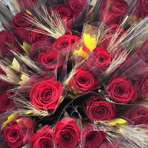 Sant Jordi