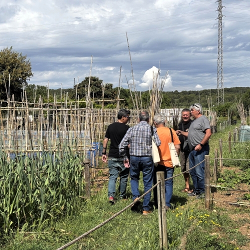 Imatge d'aquest matí, en què s'han lliurat parcel·les a nous adjudicataris