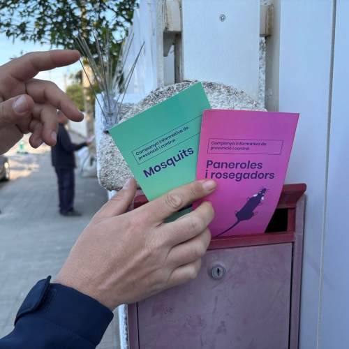 Campanya informativa per a la prevenció de plagues aquest estiu