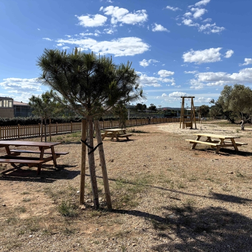 Una visió de la zona de pícnic del nou parc del barri de Sant Jordi
