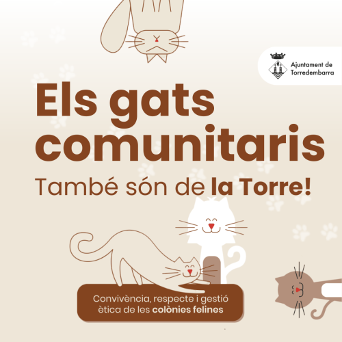 Imatge promocional de la campanya dels gats comunitaris