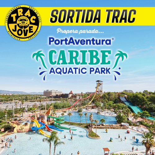Imatge del cartell promocional