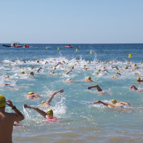 26a Travessia Nedant - Memorial Fermí Morera