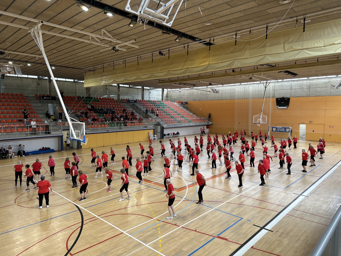 Gimnàstica gent gran