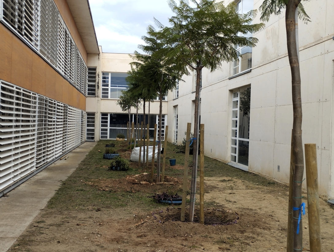 Festa de l'arbre 2025