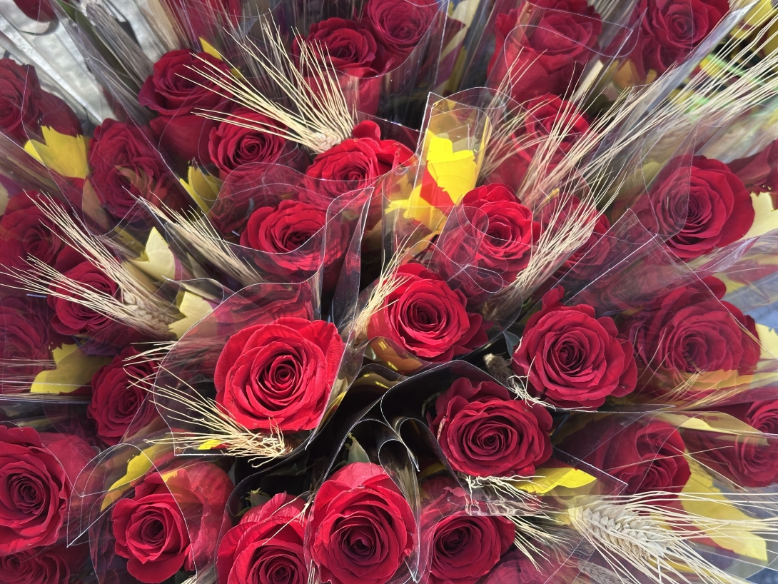 Sant Jordi